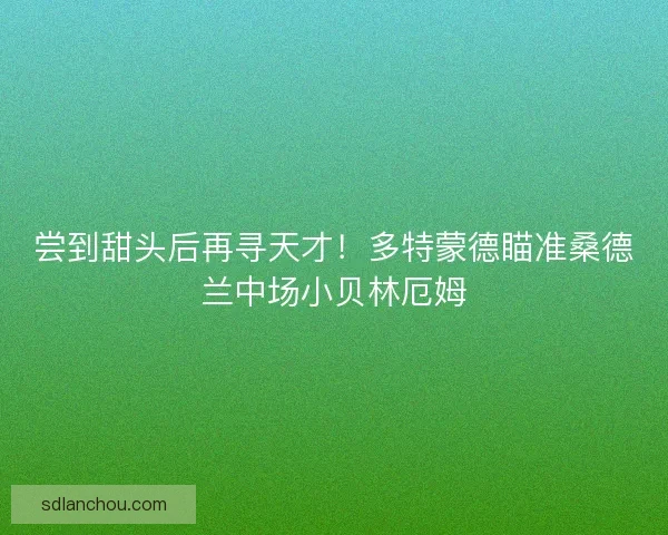 尝到甜头后再寻天才！多特蒙德瞄准桑德兰中场小贝林厄姆