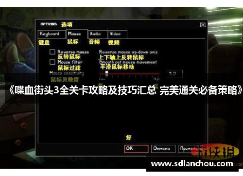 《喋血街头3全关卡攻略及技巧汇总 完美通关必备策略》