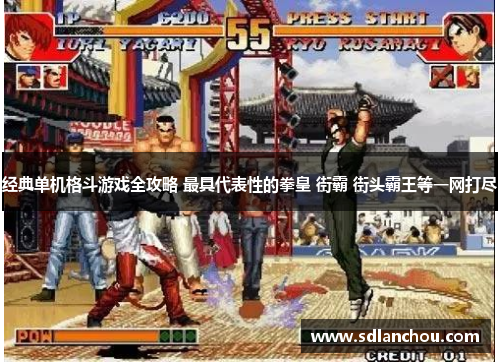 经典单机格斗游戏全攻略 最具代表性的拳皇 街霸 街头霸王等一网打尽