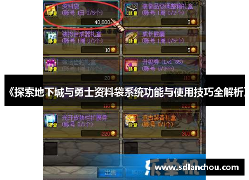 《探索地下城与勇士资料袋系统功能与使用技巧全解析》