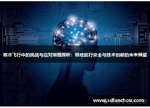 寒冷飞行中的挑战与应对策略探析：极地航行安全与技术创新的未来展望